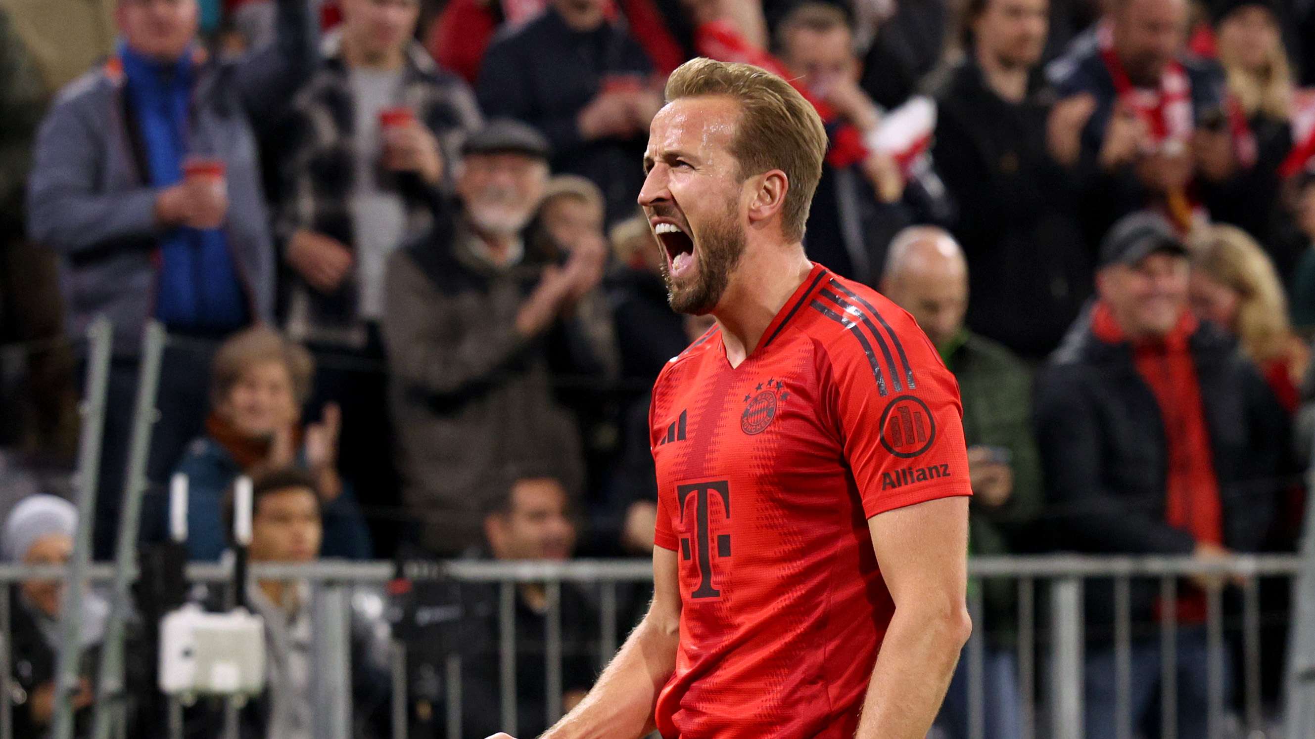 将继续焕发 将继续焕发