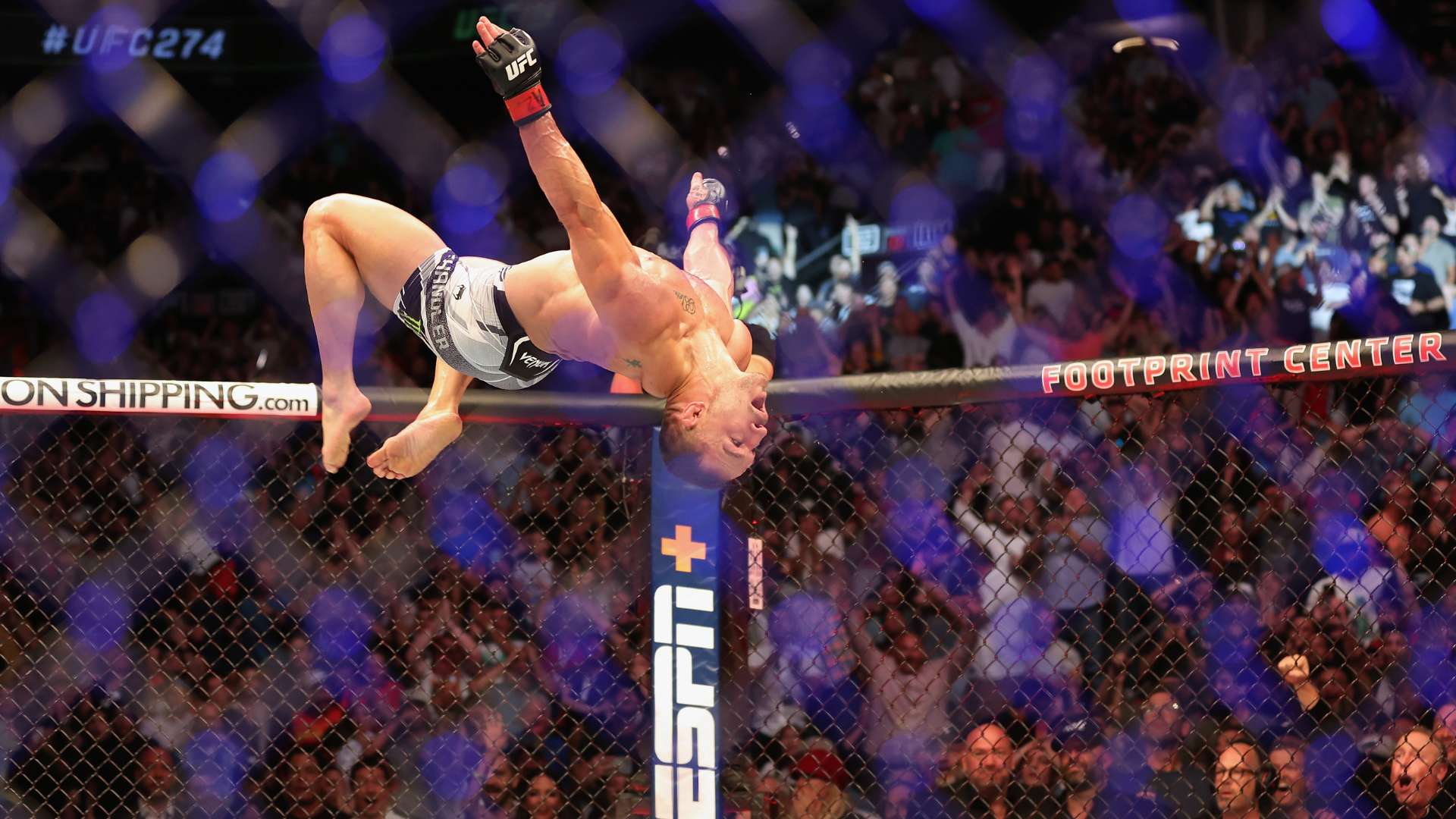 其队徽不仅 其队徽不仅